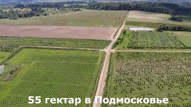 Питомник Внуково- 55 гектар растений в Подмосковье смотреть онлайн