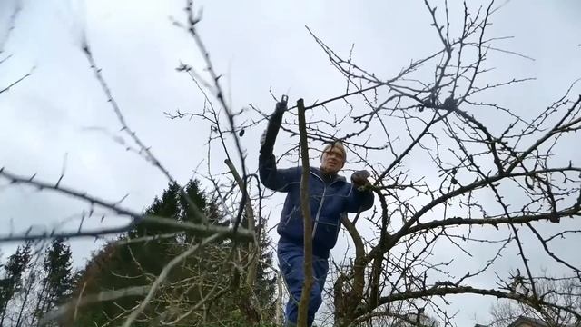 Säbelsäge Unboxing + Test ( Obstbaum schneiden, Flex Alternative ) смотреть онлайн