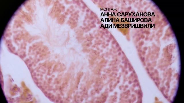 Страх и трепет — Трейлер смотреть онлайн