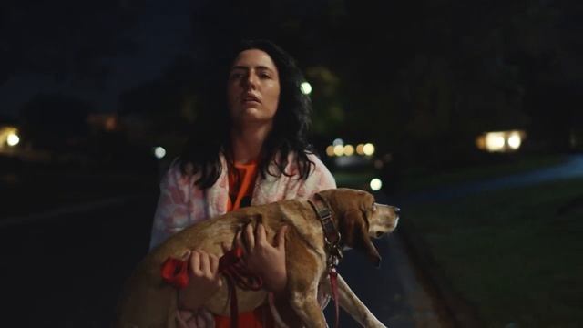 THE YEAR BETWEEN Trailer (2023) Steve Buscemi, Alex Heller, Drama Movie смотреть онлайн