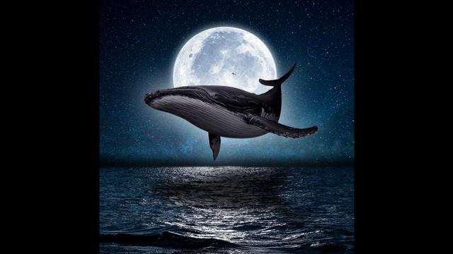 Вы Слышали Как Поют Киты? Это Восхитительно| Звуки Китов под Водой|