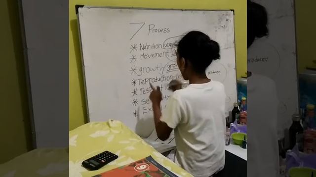 Persiapan checkpoint belajar dolo смотреть онлайн