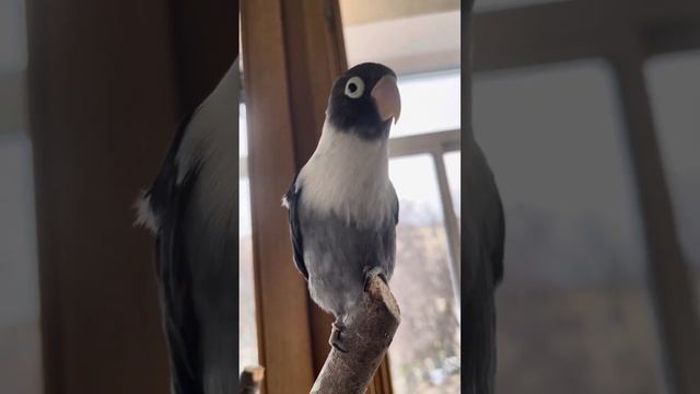 13 ноября 2023 г. смотреть онлайн