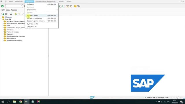 SAP GUI Обзор смотреть онлайн