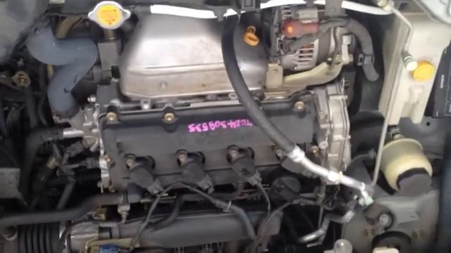 QR20-505517A смотреть онлайн