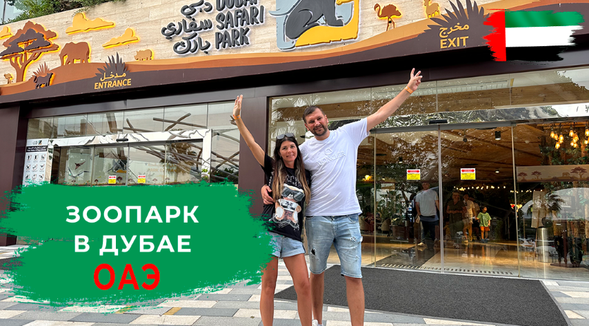 ДУБАЙ 2023. САФАРИ ЗООПАРК. ЛЬВЫ, ТИГРЫ, БЕГЕМОТЫ, ЖИРАФЫ В ЖИВОЙ ПРИРОДЕ смотреть онлайн