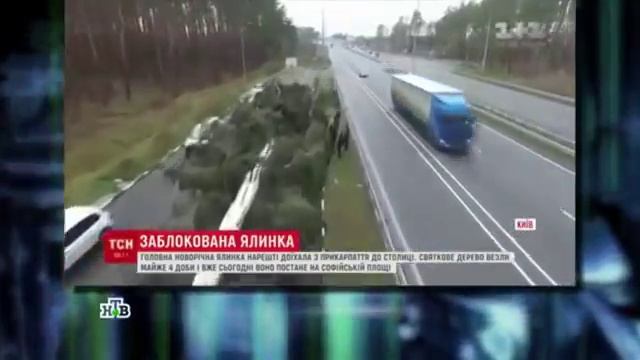 Новогодняя Елка в Киеве.Тигран Кеосаян. Ужасно смешно смотреть онлайн