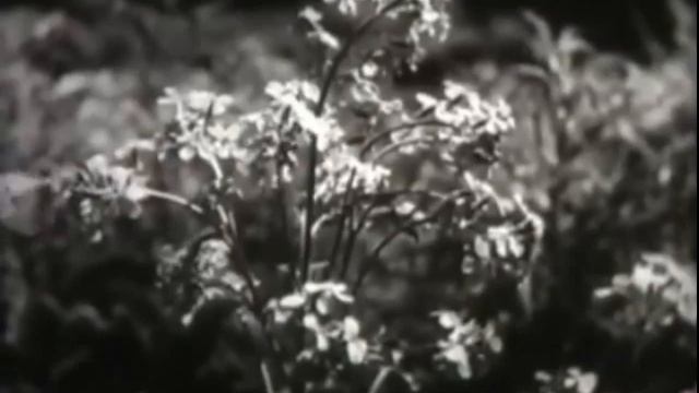 естествознание 4 класс 5 урок смотреть онлайн