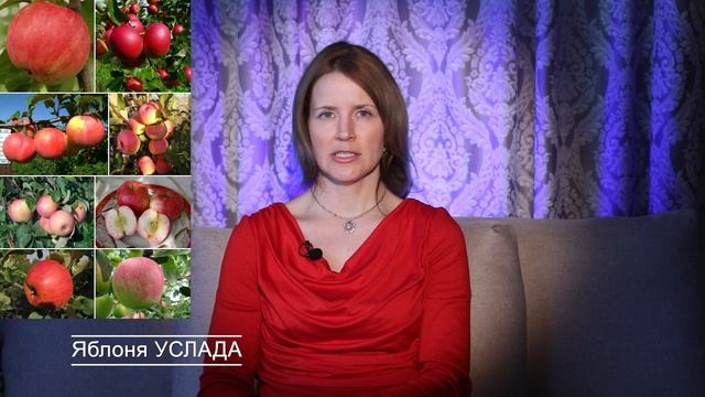 ЯБЛОНЯ / ТОП-10 / Самые СОЧНЫЕ СОРТА смотреть онлайн