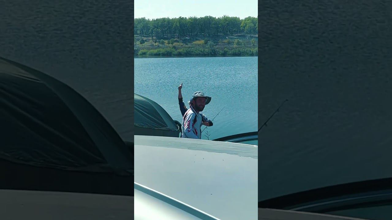 Поймали рыбу в Чечне и - ОТПУСТИЛИ! Фестиваль Грозный карп! Поймал - отпусти! смотреть онлайн