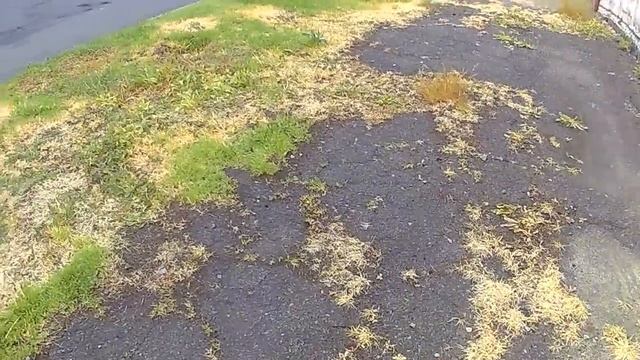 Ураган Форте - избавиться от сорнаяков, мой опыт смотреть онлайн