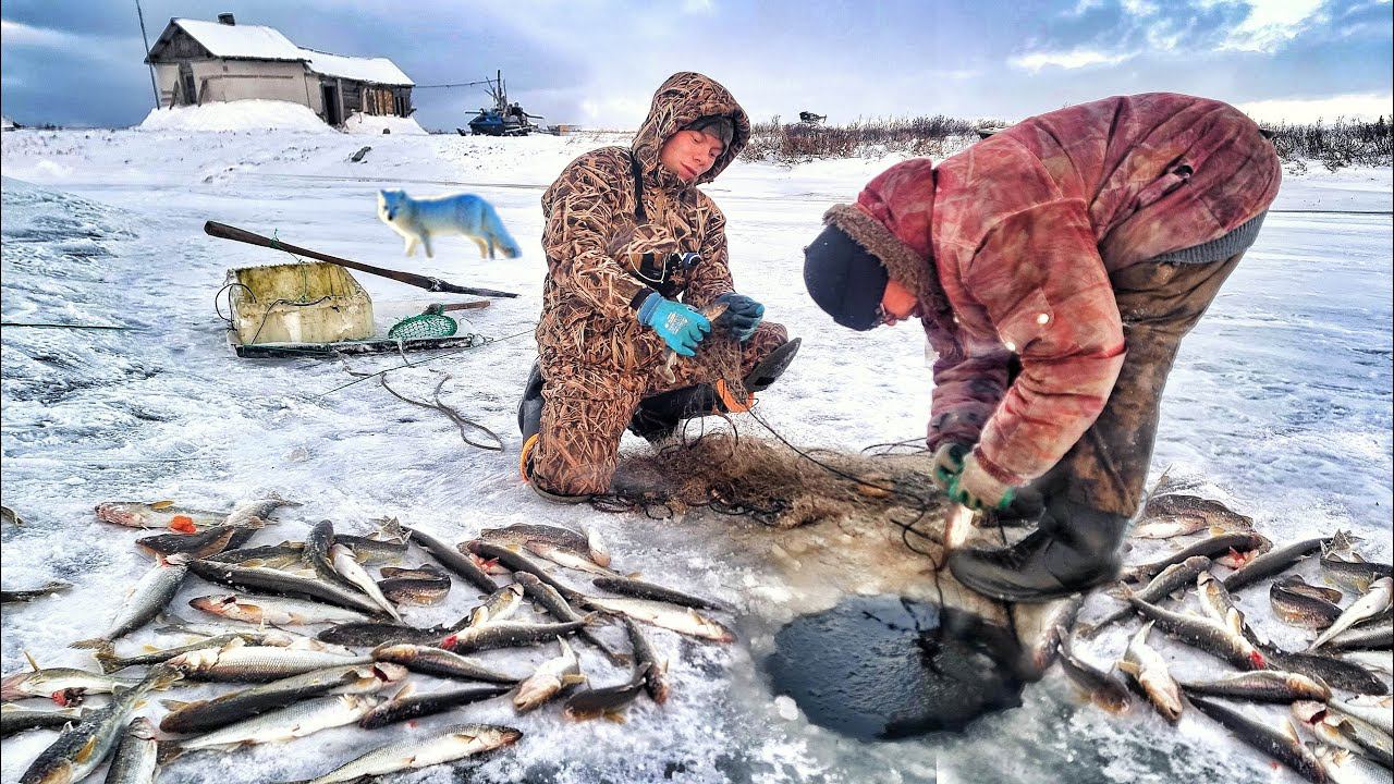 БЕЗ ЕДЫ, ВОДЫ, СВЕТА И ТУАЛЕТА! ОТШЕЛЬНИК-15 ЛЕТ ОДИНОЧЕСТВА! СЕКРЕТНЫЕ ОЗЁРА ТУНДРЫ! смотреть онлайн