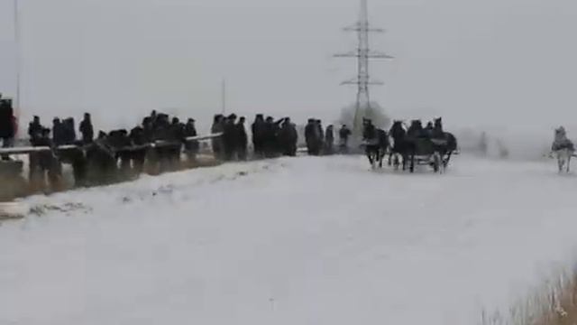 Скачки Новая Солянка смотреть онлайн