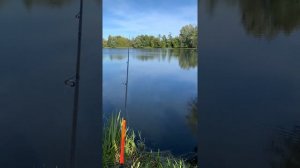 Видеообзор спиннинга Maximus Axiom 27M  из интернет магазина   Fmagazin