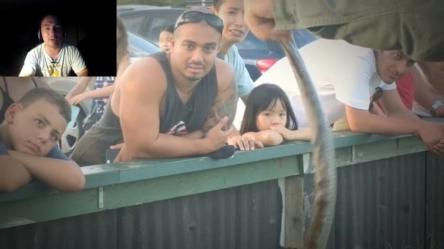 Самые ядовитые змеи. Змеи Австралии