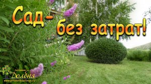 Сад - без затрат!