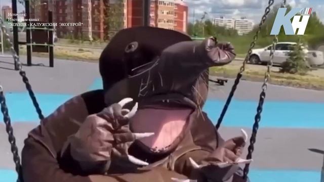 Калужский экогерой Хохуля прославился на всю Россию смотреть онлайн