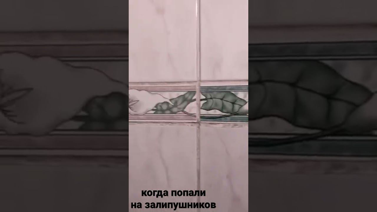 Касипоры 80 уровня!!!! Ээх смотреть онлайн