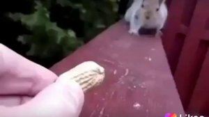 Если друг не смеётся,ты включи ему солнце!!!