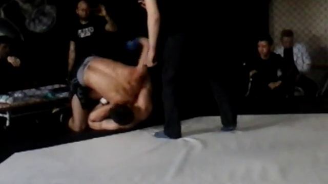 Шах против качка смотреть онлайн