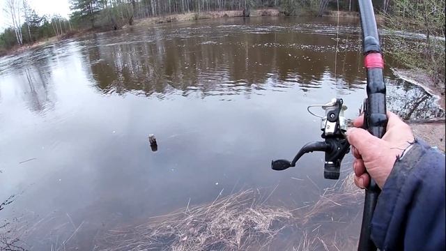 Утренний клев чебака на поплавочную удочку. смотреть онлайн