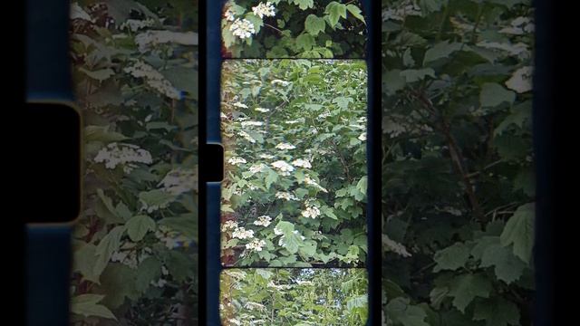 На крылечке твоем смотреть онлайн