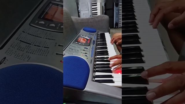 Casio LK 150 (Touch Response) смотреть онлайн
