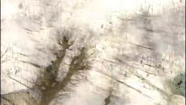 Жанна Бичевская - Господи, помилуй! смотреть онлайн