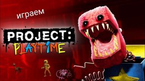 проджек плей тайм 1