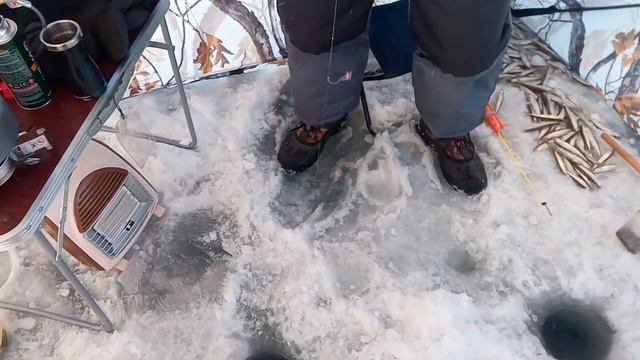 Посьет 24.01.2020 смотреть онлайн