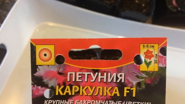 Петуния 24.02.18 Обзор сортов петунии смотреть онлайн