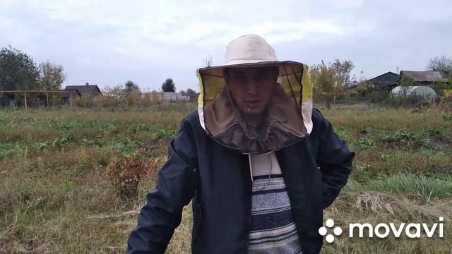 Тепловые Эксперименты