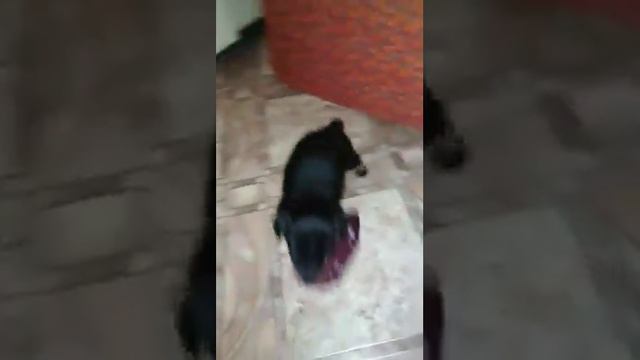 Им нет ещё месяца! смотреть онлайн