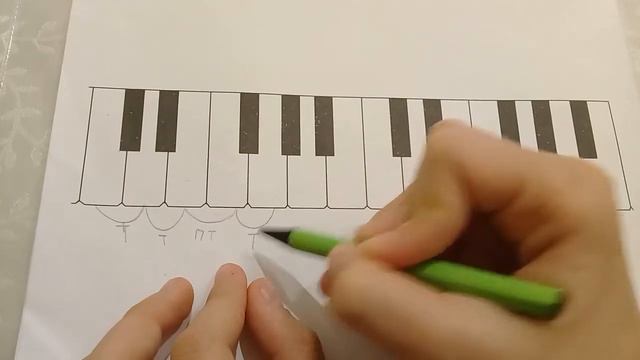 Строение мажорной гаммы. смотреть онлайн