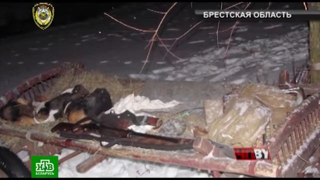 ЧП.BY 30.01.2018 смотреть онлайн