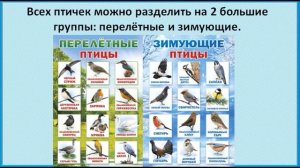 Где зимуют птицы? Окружающий мир 1 класс УМК Школа России 03.02.2023