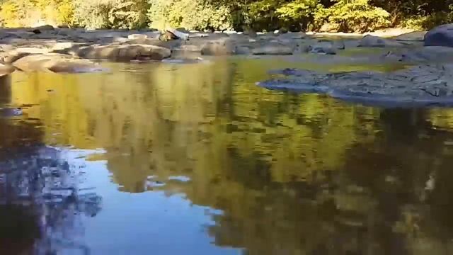 Псалтирь святого пророка и царя Давида в переводе Бируковых. Кафизма восьмая. Псалмы 55-63. смотреть онлайн