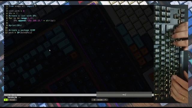 ASMR Programming - Ping Script using Scapy and Python - no talking | Mechanical keyboard смотреть онлайн