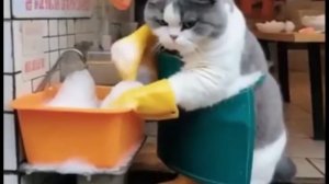 Видео созданное с помощью искусственного интеллекта