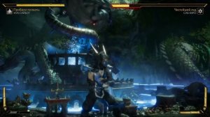 Mortal Kombat 11 - БРУТАЛИТИ НУБА САЙБОТА
