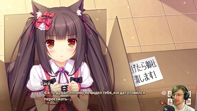 НЕКРОПАПА // Nekopara Vol.1 #1 смотреть онлайн