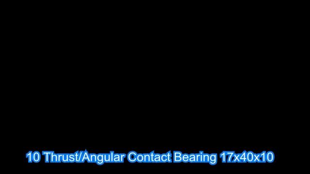10 Thrust/Angular Contact Bearing 17x40x10 смотреть онлайн