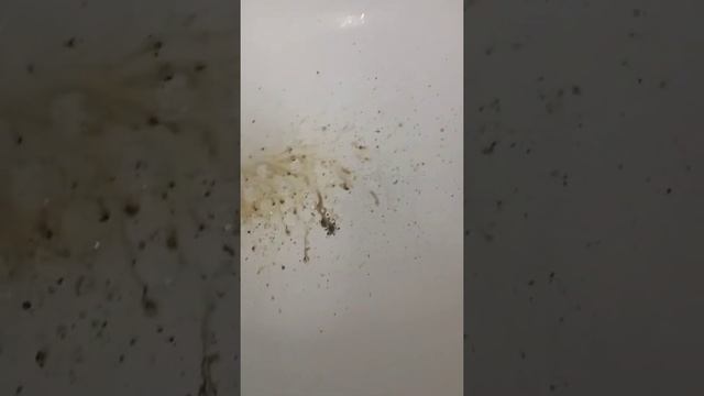 Як почистити резервуар праски? смотреть онлайн