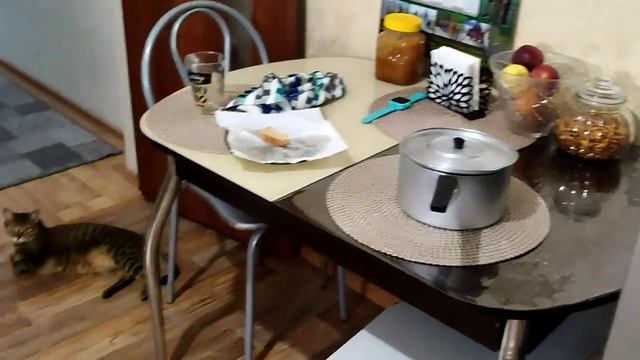 В ЛЕС ЗА ШИШКАМИ?МЕНЯЮ ПОСТЕЛЬНОЕ БЕЛЬЁ ? МОТИВАЦИЯ НА ДОМАШНИЕ ДЕЛА ? смотреть онлайн