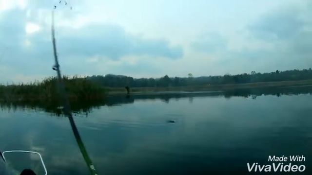 Sapanca'da at-çek (spin) turna avı смотреть онлайн