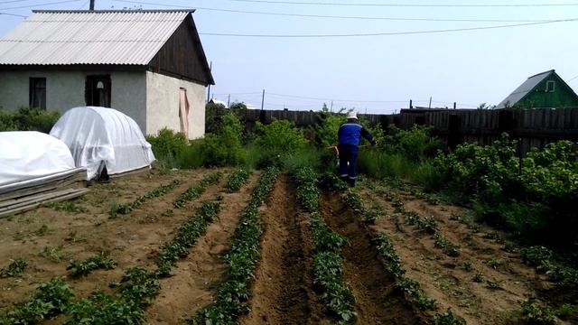 Ручной окучник "А" для картофеля смотреть онлайн