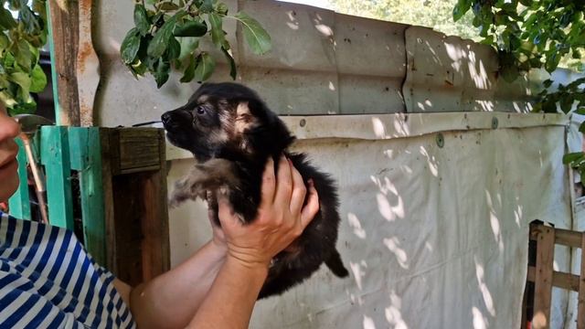 Влог 579 Мы посетили @kovcheg39 пожертвовали моим и моих дорогих друзей средствами! смотреть онлайн