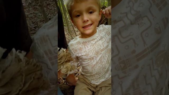 Foraging Grifola Frondosa with my top employee Hunter. Very choice Wild ? смотреть онлайн