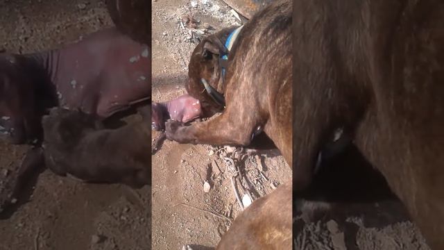 5 мая 2016 г. смотреть онлайн