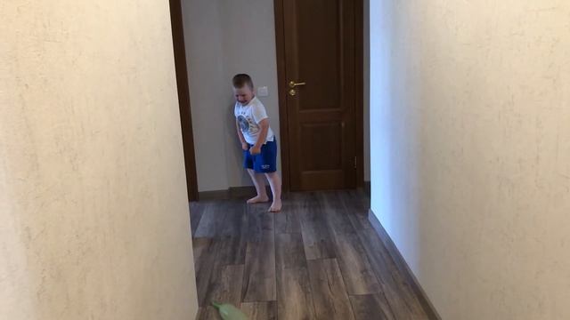 Даня ловит воздушные шарики с потолка. #воздушныешары #baloonchallenge #wild смотреть онлайн